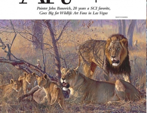 Safari Magazine