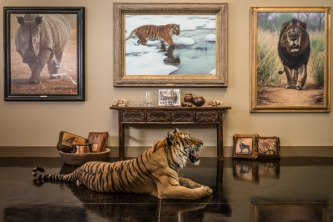 Banovich Limited edition giclée canvases and Wild Accents Collection