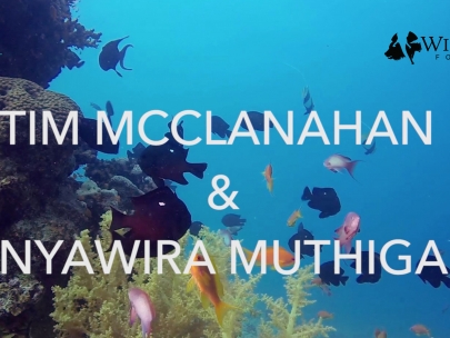 Banovich Wildscapes Foundation 2018 ACE Award for Conservation Excellence Nominees-Timothy McClanahan, PhD & Nyawira Muthiga, PhD