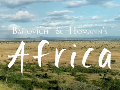 Banovich & Homann's Africa 2018